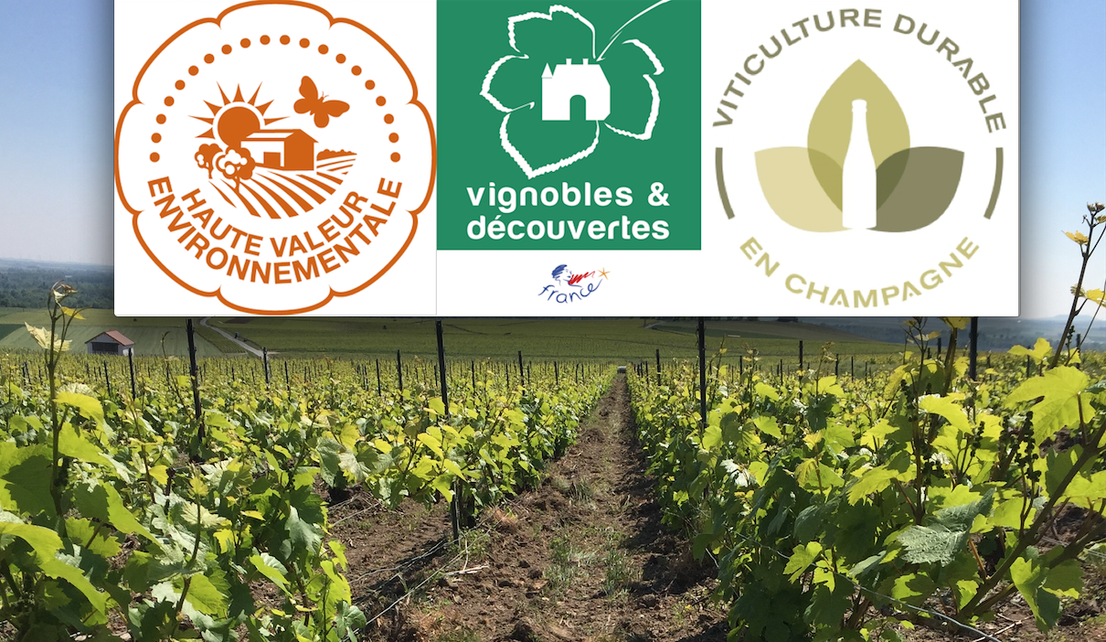Effervescence de certifications au Champagne Bauchet