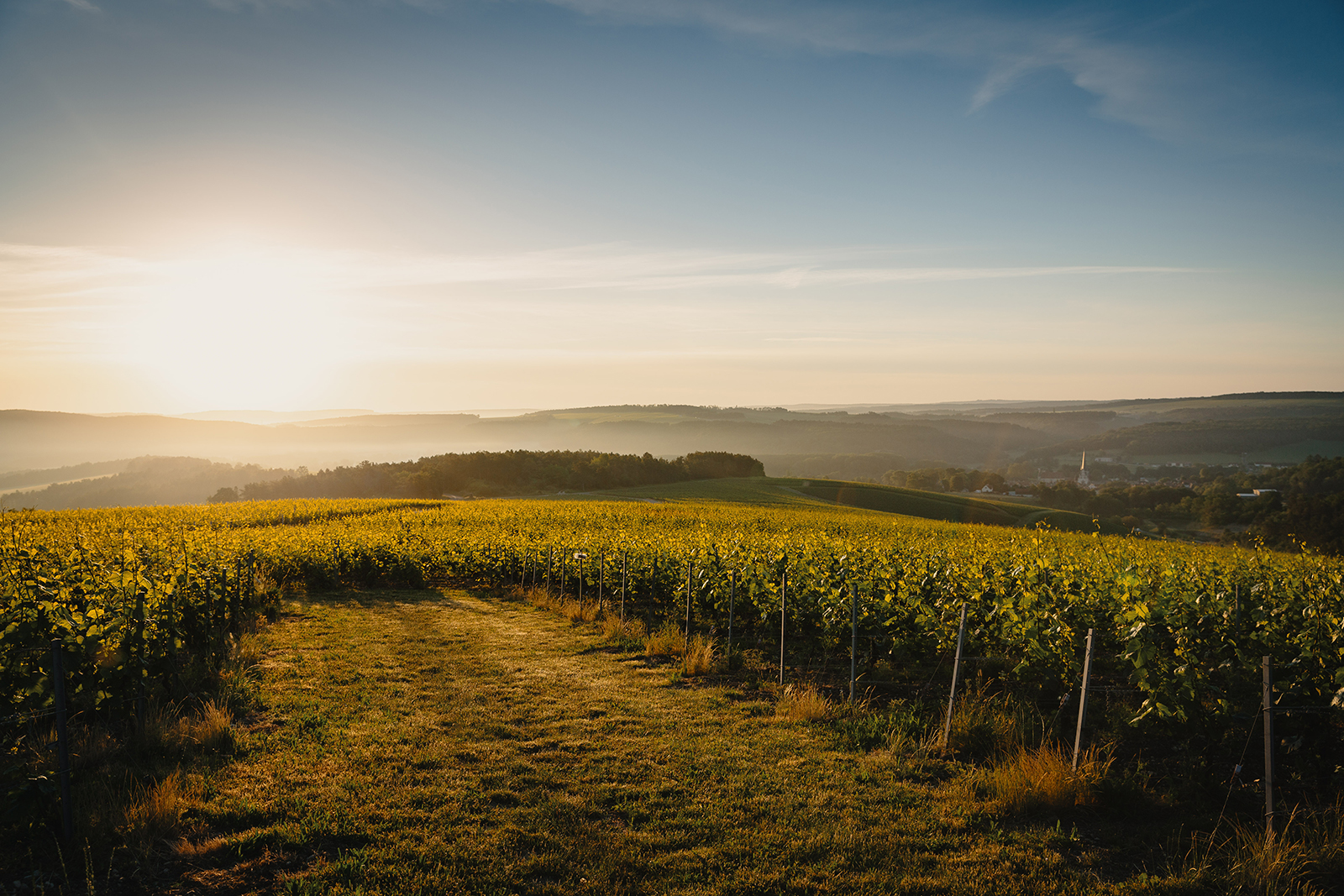 Domaine Alexandre Bonnet