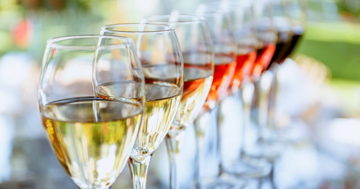 C&rsquo;est la rentrée des foires aux vins