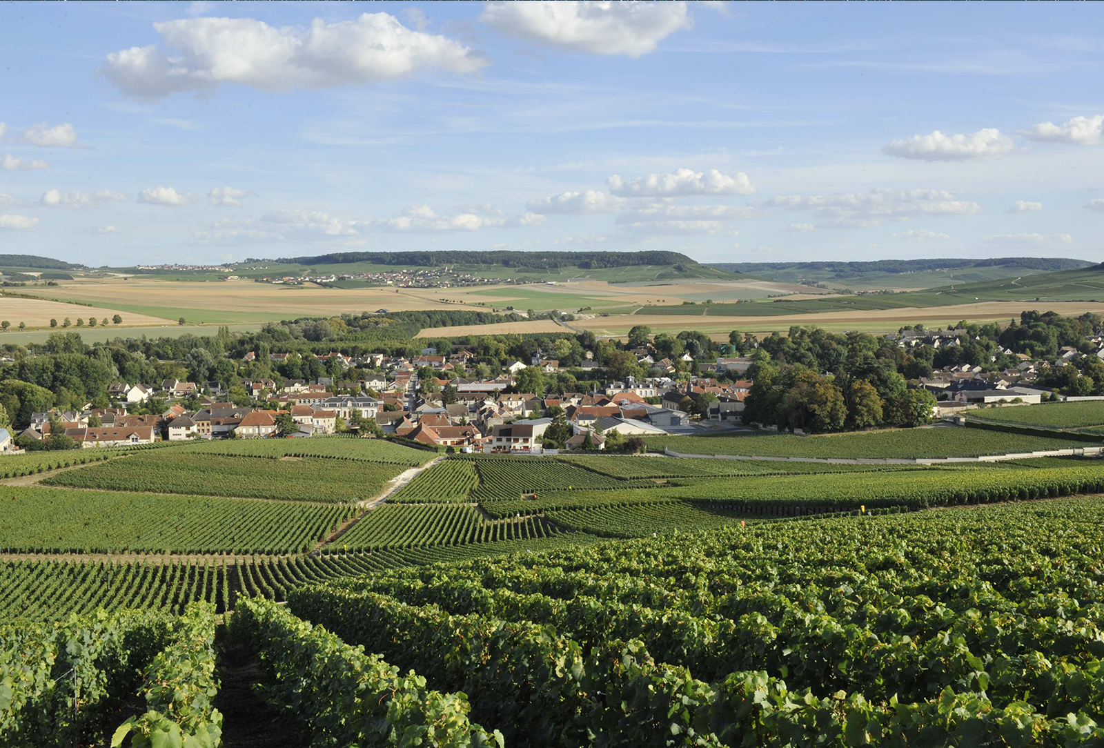 Champagne Vincent d’Astrée