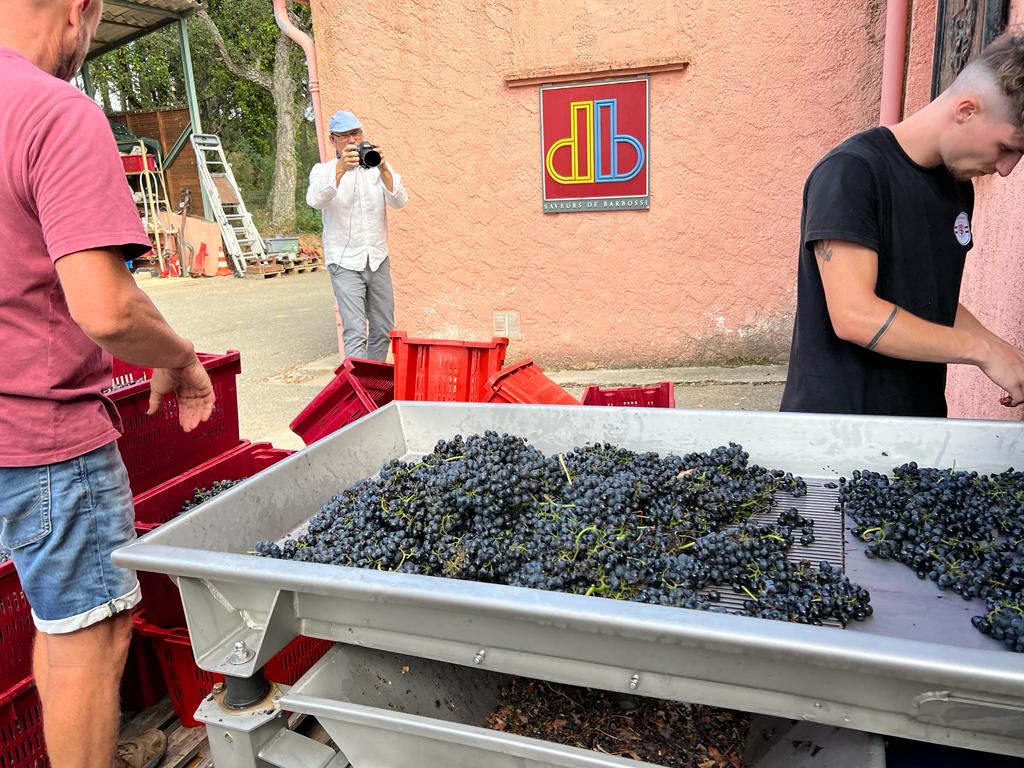 Les Vendanges de la Presse au Domaine Barbossi