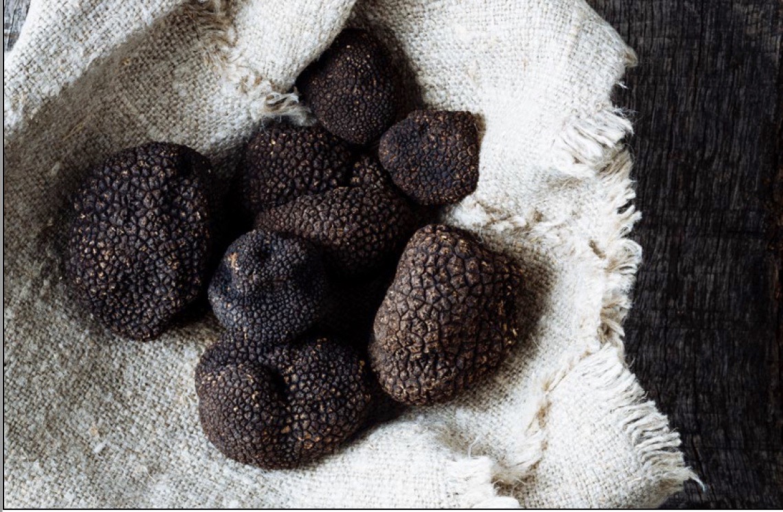 La truffe s’invite à votre table avec Chef de France