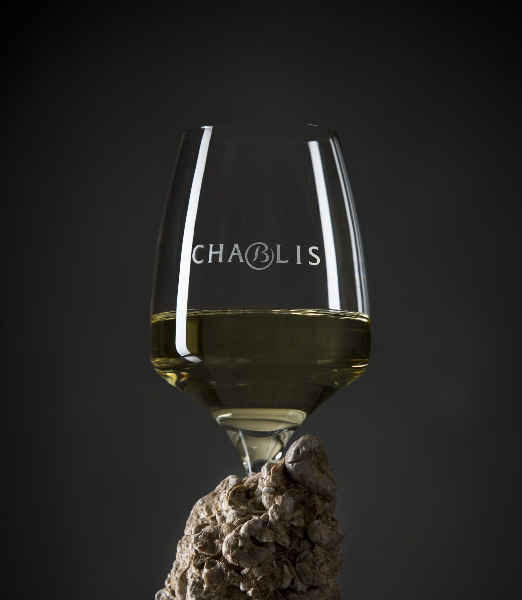 Chablis 1er Cru : des vins d&rsquo;exception au cœur de la Bourgogne par Julia Scavo