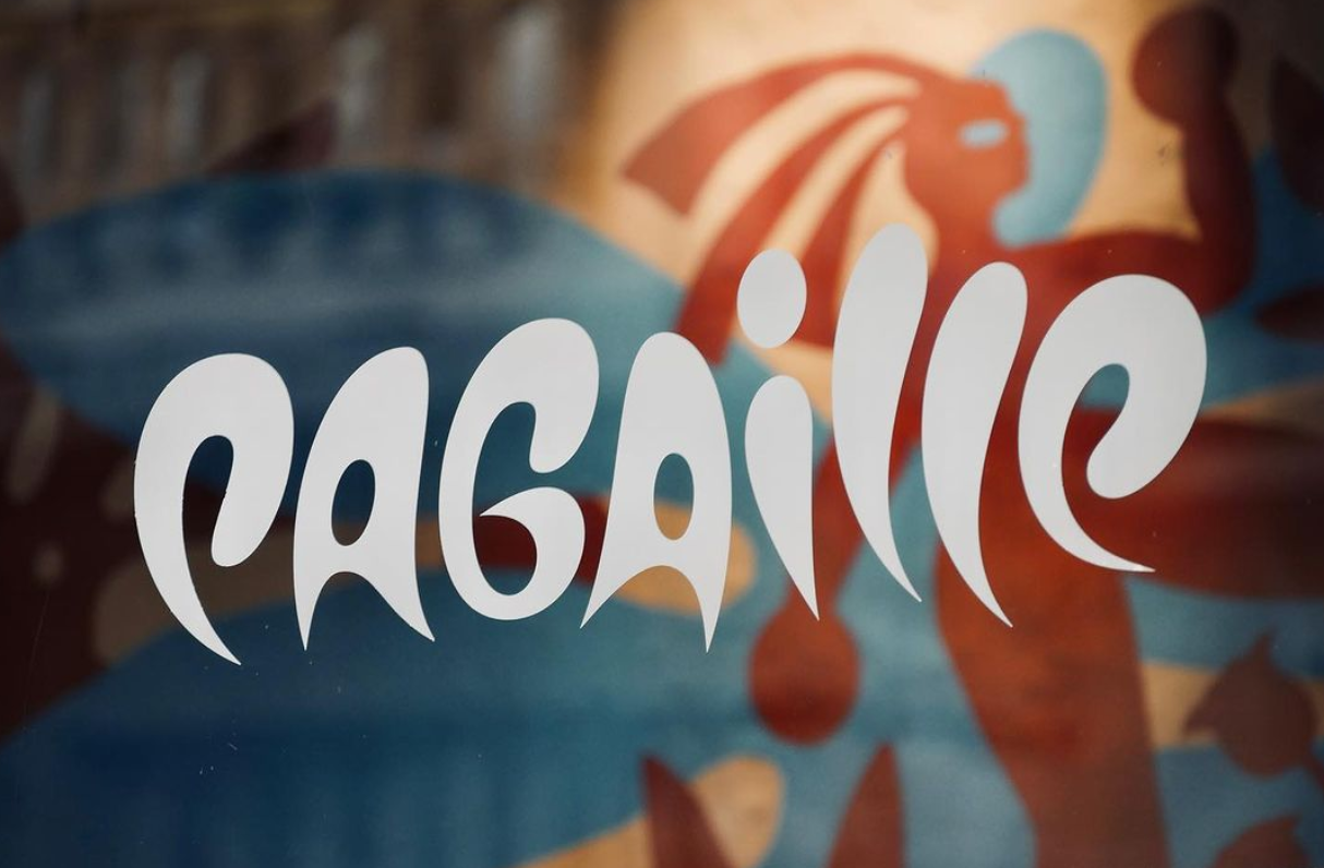 Pagaille : La fine équipe