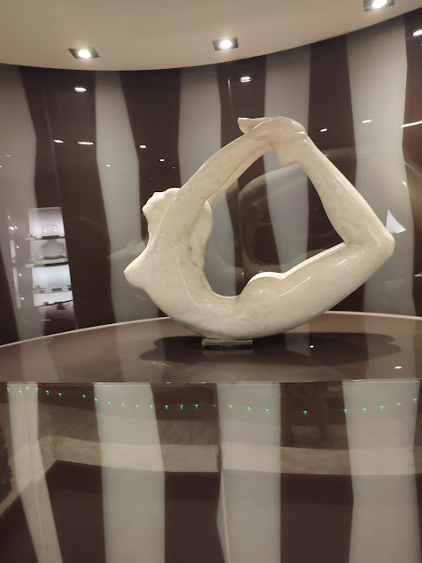 MSC le Must : le SPA