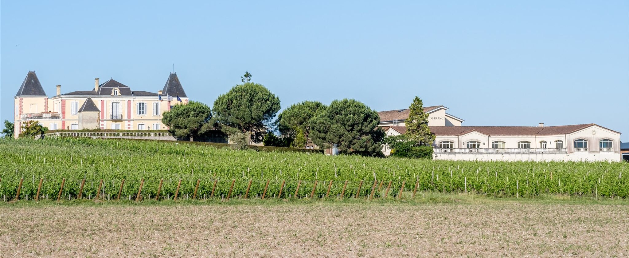 Château de France : une famille, un terroir