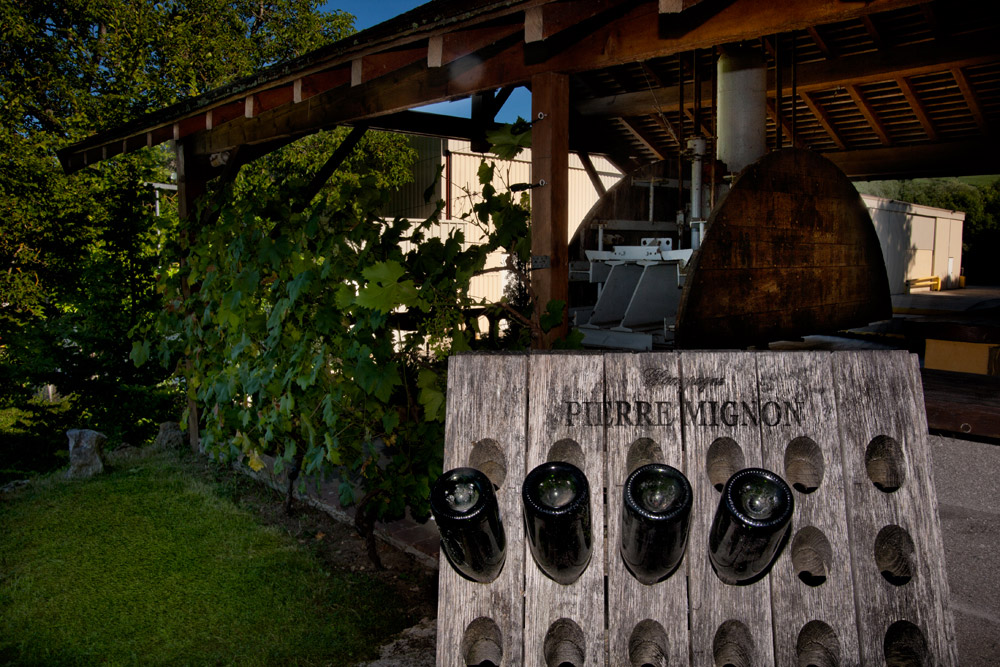 Le champagne Pierre Mignon célèbre les fêtes avec une belle effervescence