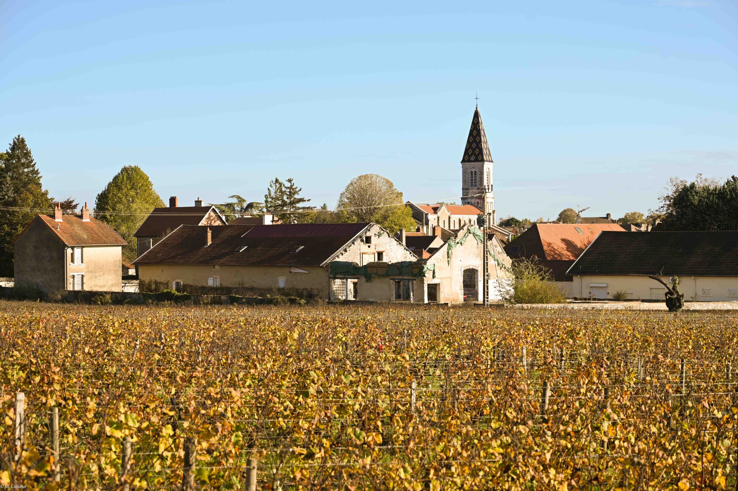Domaine Arnoux-Lachaux ou la haute-couture viticole
