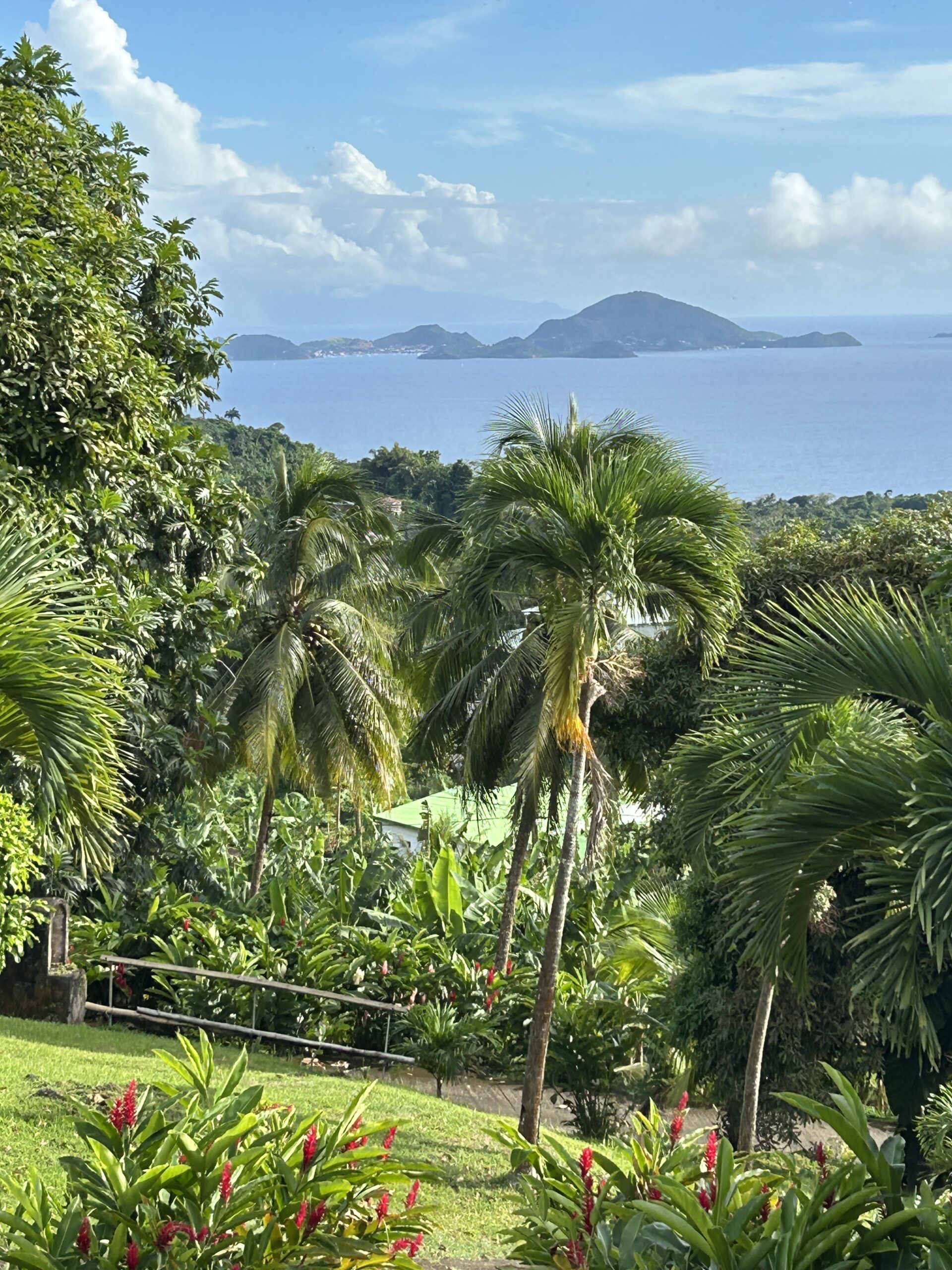 L’art de la détente au Jardin Malanga
