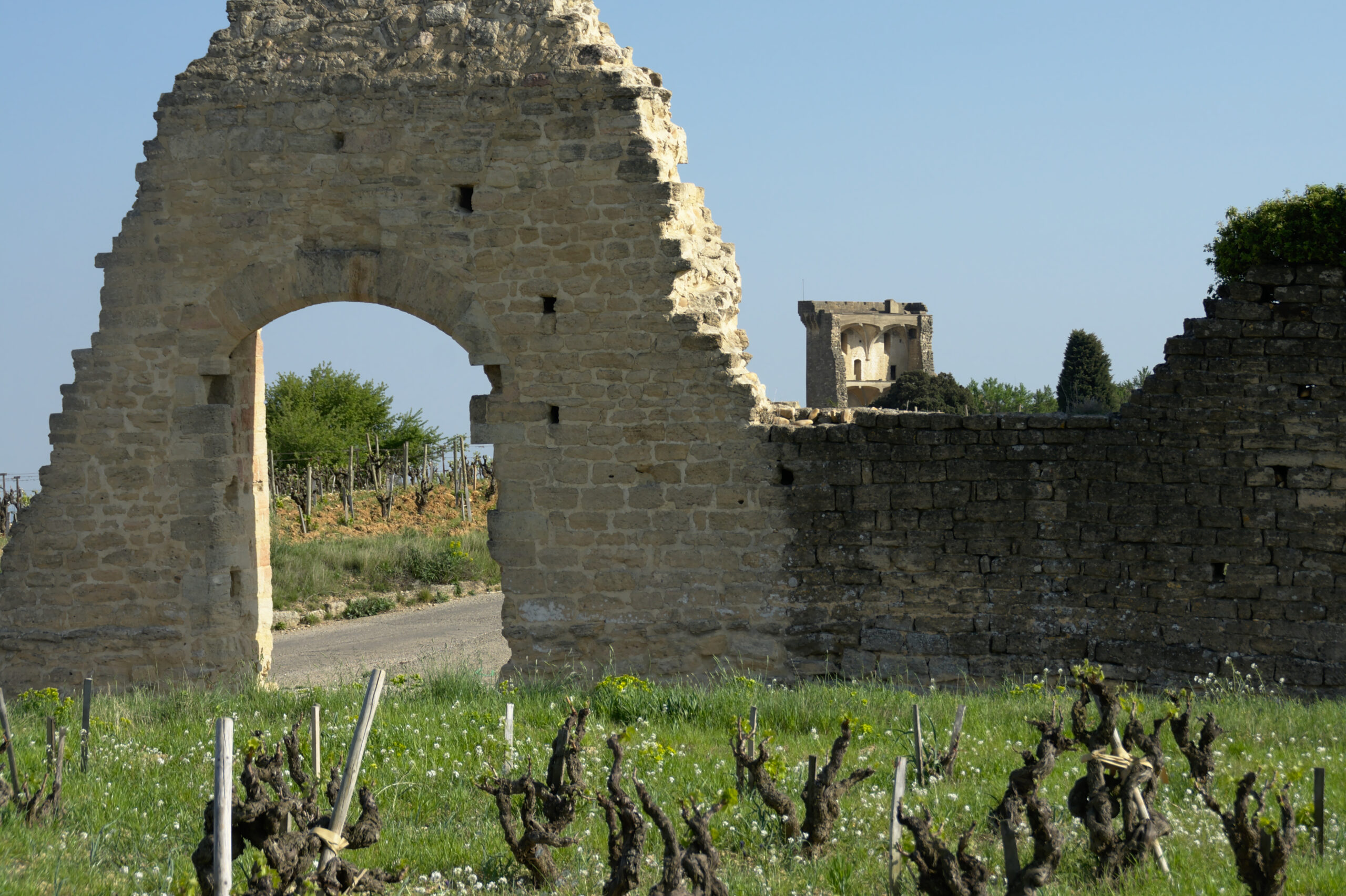Gastronomie et élégance : voyage culinaire au Domaine des 3 Cellier