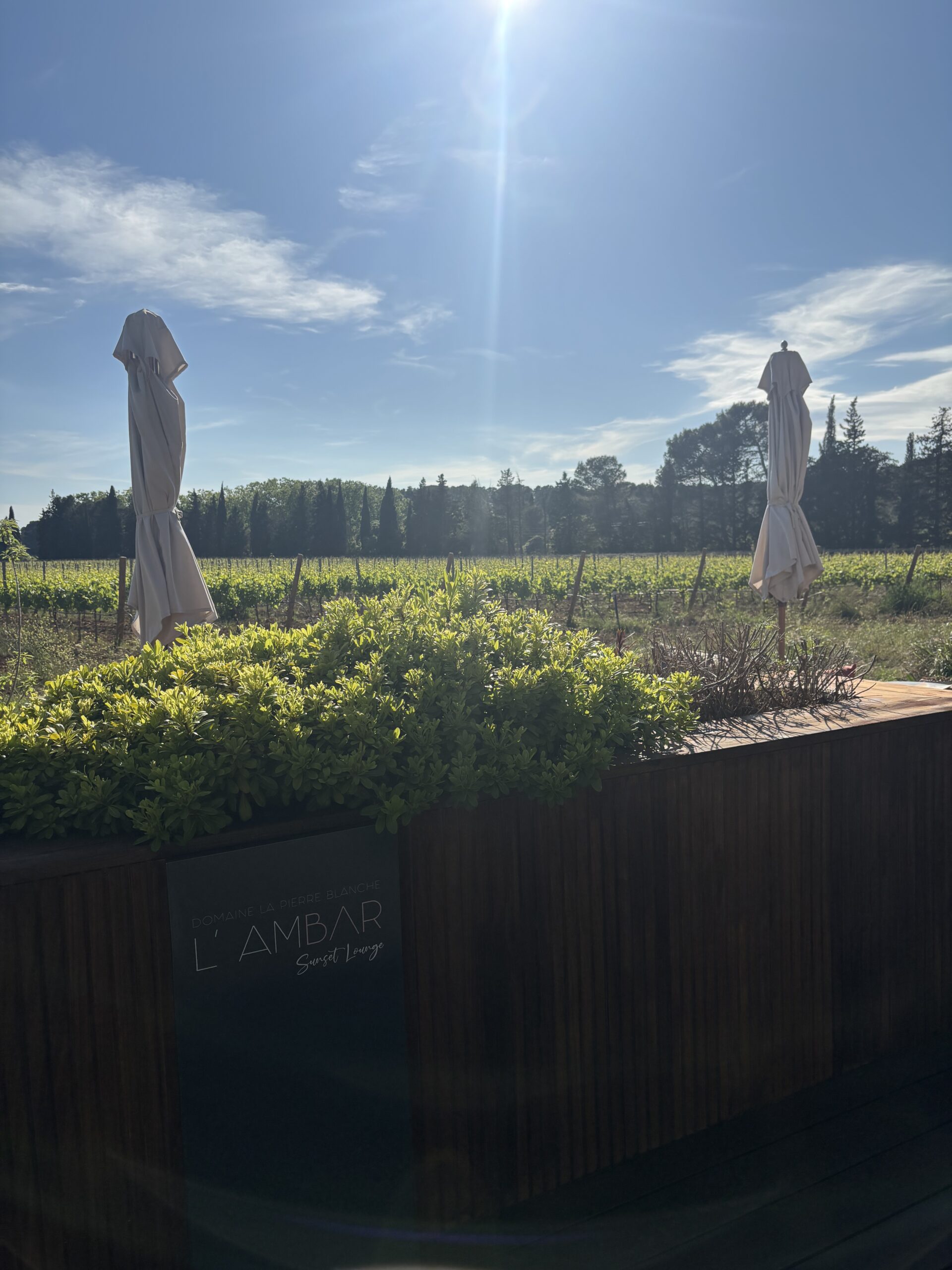 Entre vignes et saveurs