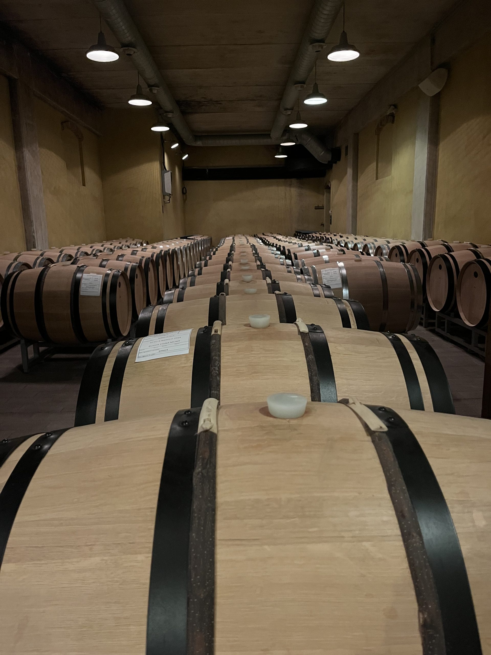 « I vini del Piemonte »