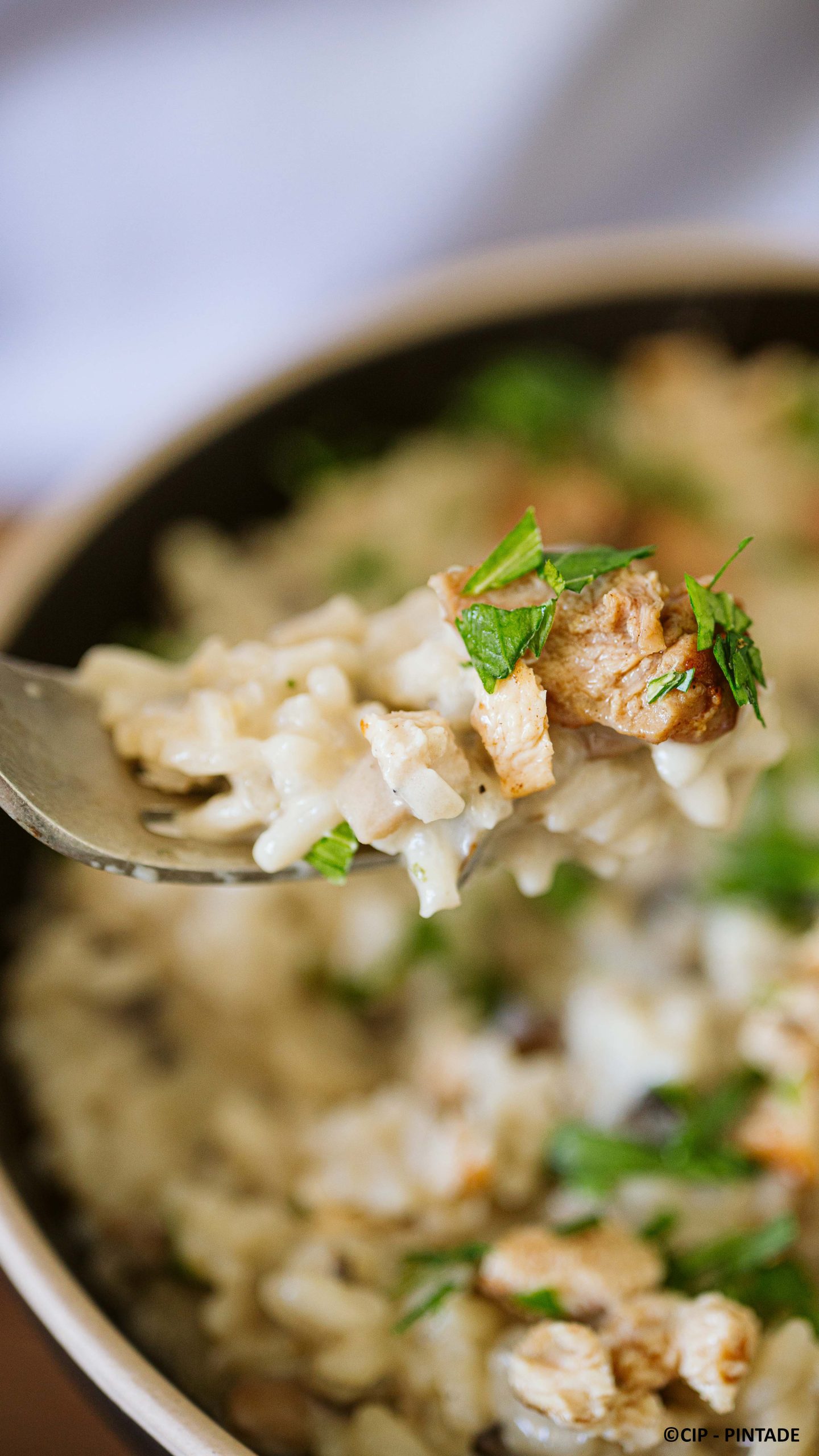 Risotto de Pintade
