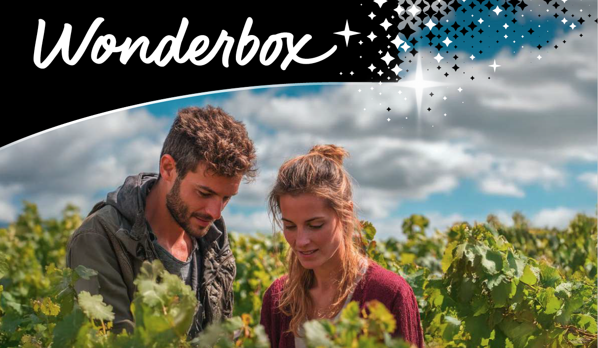 Wonderbox x Winalist