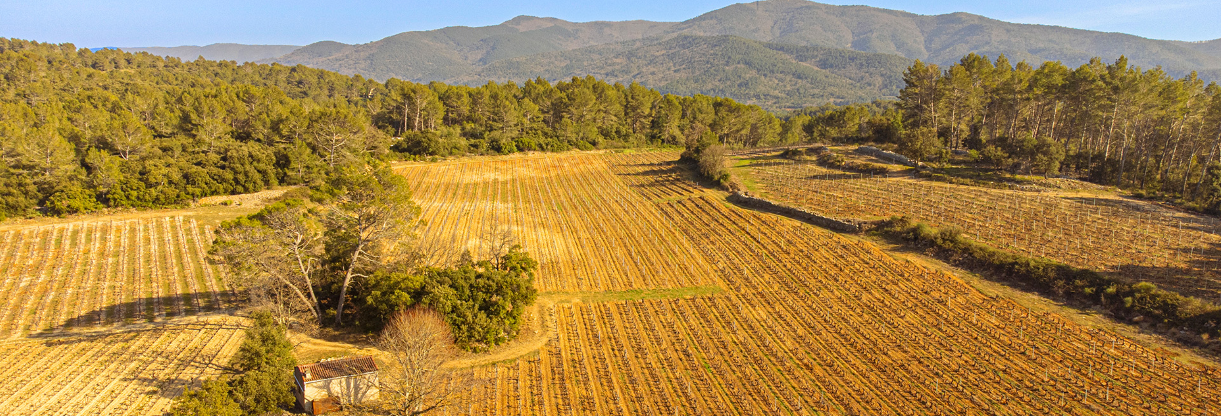 Une cuvée aérienne au cœur de la Provence