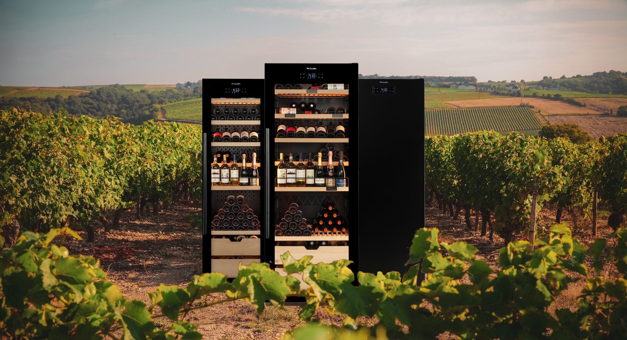 La Sommelière dévoile sa gamme VIP Édition : l’art de vivre le vin, entre élégance et liberté