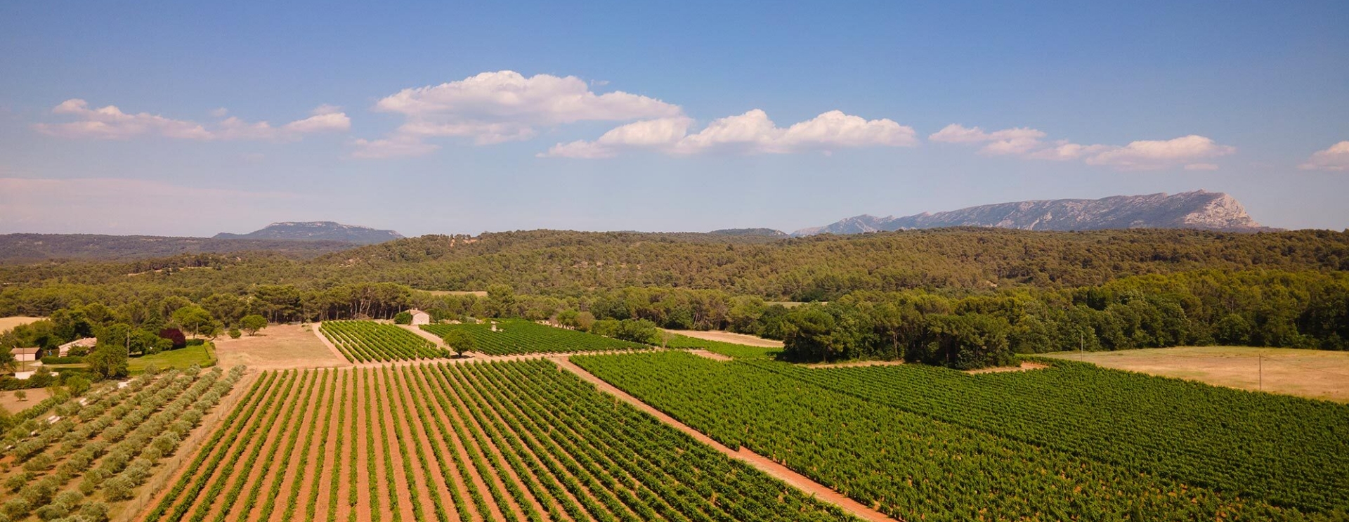 J15 – La Provence dans le verre 